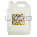 Vinagre de Alcohol - FAVINCO - x 5 L.