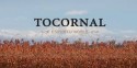 Tocornal EXTRA BRUT x 750 cc.